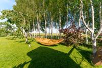 Villa Betula - Bed and Breakfast