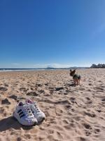 Precioso apartamento en Gandía - B&B Platja de Gandía