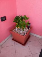 Veliki apartman Barbara s jacuzzijem za dvoje- Hreljin Crikvenica Rijeka - Chambres d'hôtes Hreljin