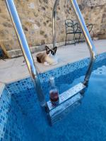 La rose du vent - Chambres d’hôtes Saint-Pons-de-Mauchiens