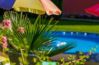 B&B Troyan - Vila Livadeto - Bed and Breakfast Troyan