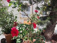 l'Araucaria casa vacanze - Ferienwohnung Marsala