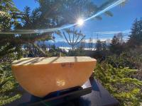 Superbe chalet 12 personnes vue imprenable 2nuits min - B&B Anzère