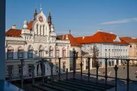 The Chic One, Unirii Square View - B&B