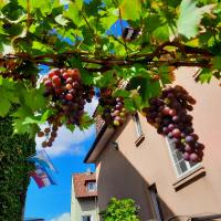 Suite Junior con vistas al jardín 