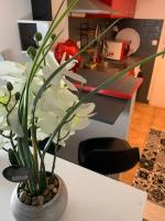 Studio coquet - B&B