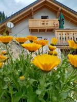 Apartment Schönwetter - B&B Großsölk