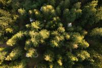 Stay Wilder Sunshine Coast - Bed and Breakfast