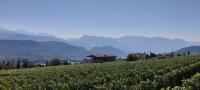 View - AgriSuites - B&B Coltura