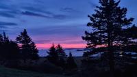 Oceanfront Apartments - Ferienwohnung Port Dufferin