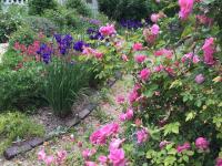 Lily’s Cottage, steps from Journeyman and Acorn! - B&B
