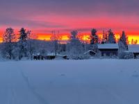 Go out stay wild - B&B Norsjö