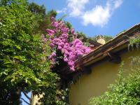 Chambre Double - Vue sur Parc