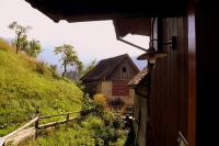 Di Baut - B&B Ovaro