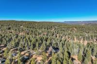 Rustic cabin charm w/ hot tub, arcade basketball - B&B Woodland Park