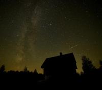 Leśny Kącik Zelwa - Ferienwohnung Zelwa