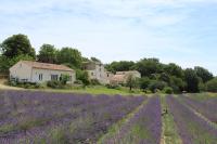 B&B Forcalquier - Les Ânes de Forcalquier - Bed and Breakfast Forcalquier