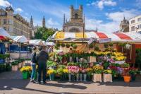 Charming 1 bed super central Terraced House - B&B Cambridge