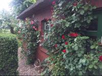 Reetdachhaus, Wilstermarsch - B&B Landscheide