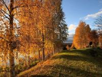 Studio by the river Ivalo - Bed and Breakfast Ivalo