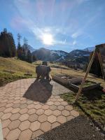 Zimmer in Adelboden - B&B Adelboden