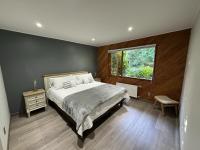 Habitación Deluxe - 1 cama grande