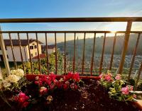 "IL VIGNETO" Apartment - B&B