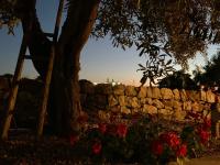 Bei tempi - B&B