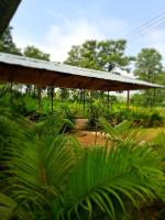 B&B Dandeli - Dandeli Aura Jungle Stay - Bed and Breakfast Dandeli