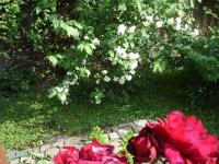 Appartamento con Vista Giardino