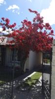 Nel's Casa Hostel A 15 minutos de Aeropuerto Ezeiza - Bed and Breakfast