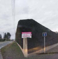 Camera Matrimoniale con Bagno in Comune 