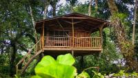 Jungle Cabins El Escondido - Bed and Breakfast