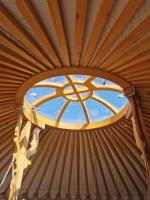 Wilding Yurt Stay - B&B
