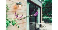 Clophill Eco Lodges - B&B Clophill