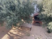 Apartment mit Terrasse