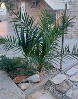 Apartment mit Meerblick