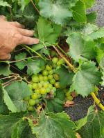 Casa Vitto - Chambres d’hôtes Tinajo