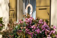 Casina Le Conserve - Bed and Breakfast Cesenatico