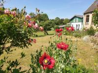 Ferienwohnungen Jürgensen, Mühlenhof Grödersby an der Schlei - Bed and Breakfast