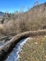 Retour aux sources - B&B