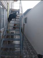 Domuyo 3 - B&B Neuquén