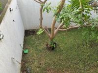 Quarto confortável privativo DF - B&B