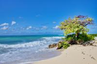 Beautiful Beachfront Apartment!