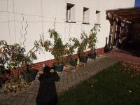 Pension Regenbogen - Ferienwohnung