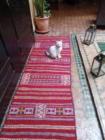Riad Aguaviva - Chambres d'hôtes Marrakech