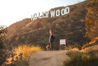 Two-Bedroom Duplex City Suite