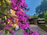 OLIVES HOUSE in Izola - B&B