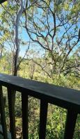 The Black Cockatoo - Secret Garden Treetops Home - B&B Katoomba