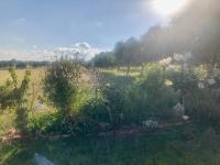 Danara Cottage - Ferienwohnung Bathurst